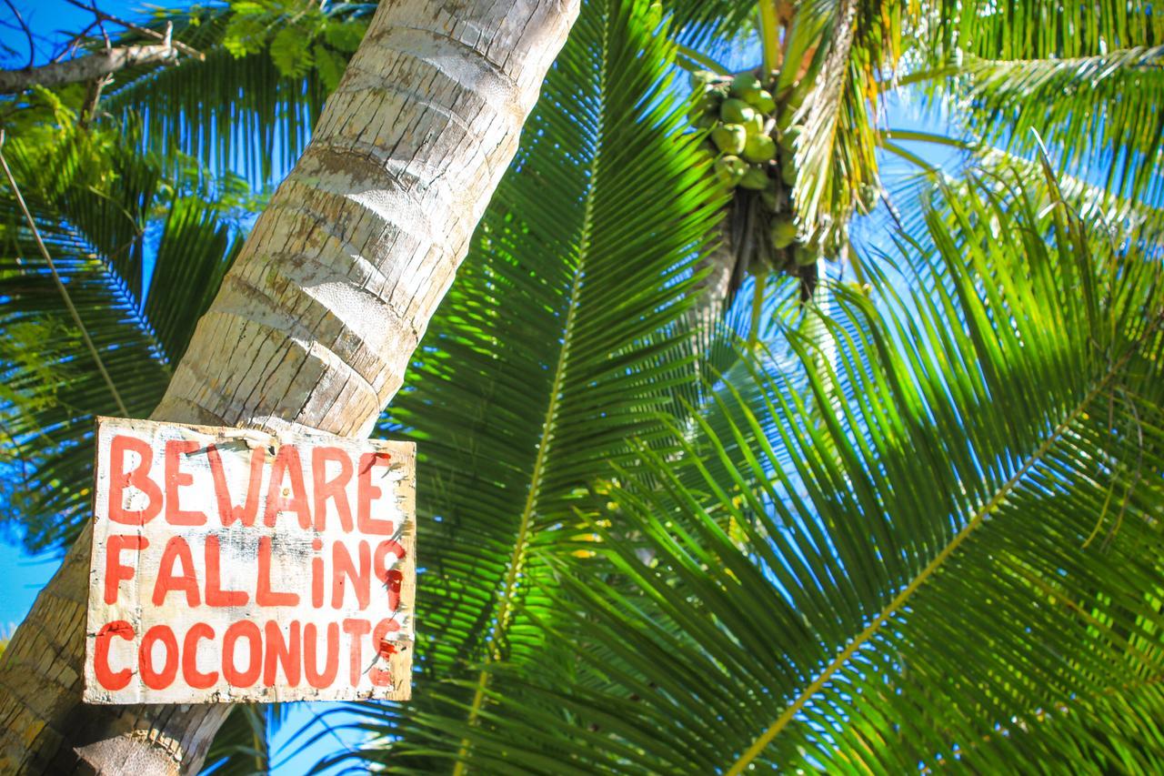 Savai'i Island Vaimoana Seaside Lodge מראה חיצוני תמונה